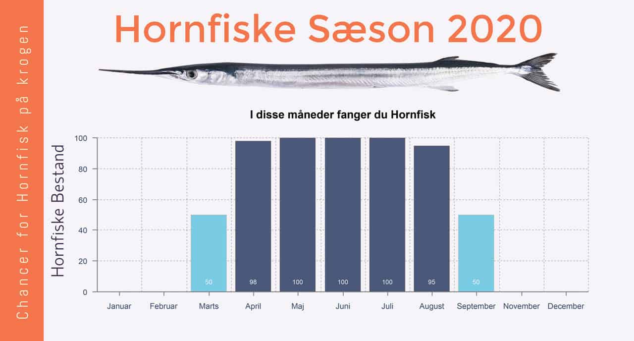 Hornfisk Sæson 2020